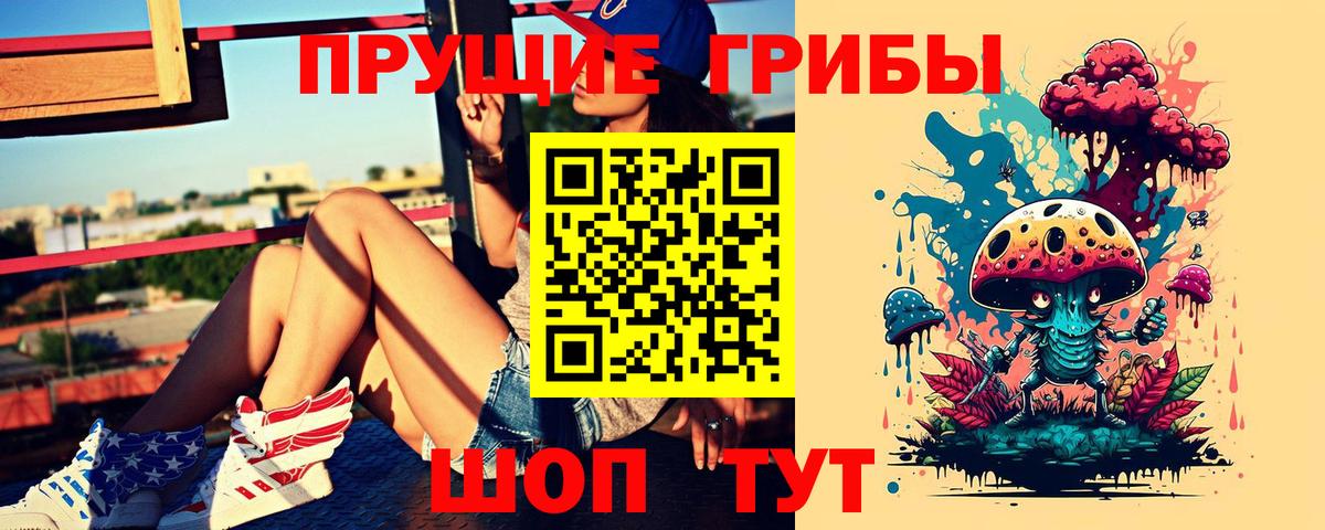 Батайск  Галлюциногенные грибы Psilocybine cubensis  Вход с VPN 