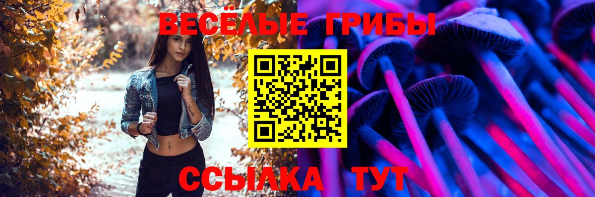 Псилоцибиновые грибы мухоморы Батайск